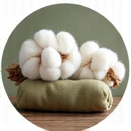Organic Cotton Sustainable